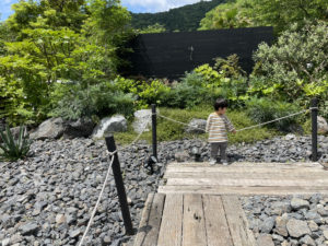 緑溢れる癒しの空間