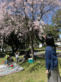 今年のお花見は