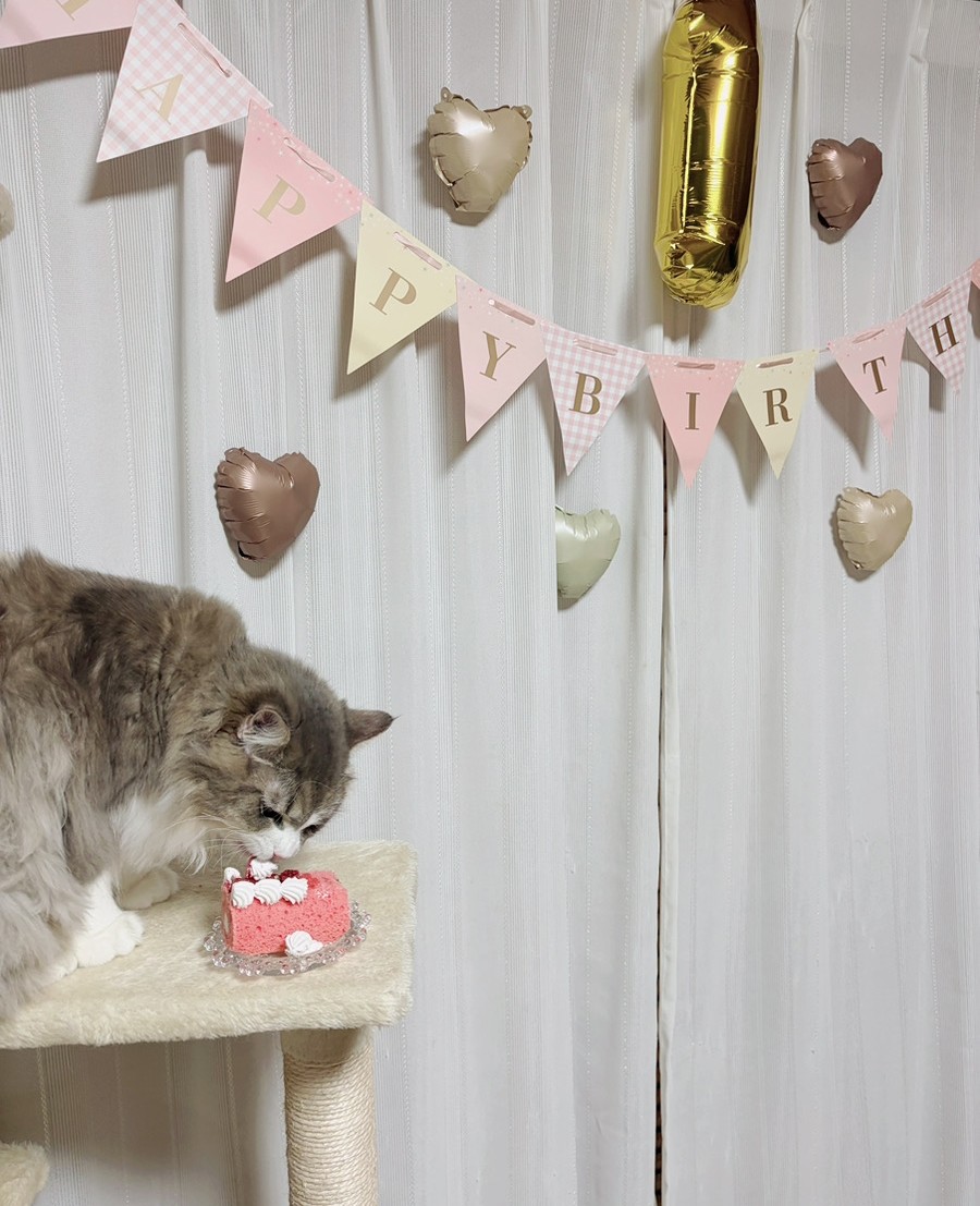 1歳の誕生日